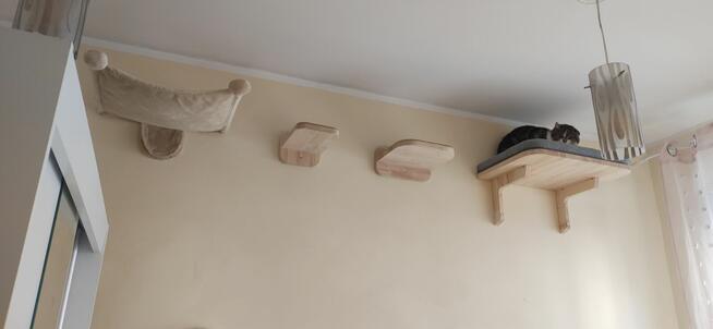 hotel dla Kota 50zl dobą żwirek w cenie