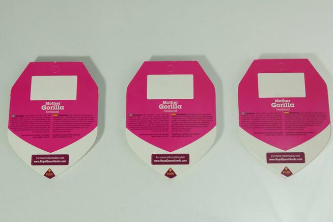 Nasiona konopi Mother Gorilla - ROYAL QUEEN SEEDS - 10 sztuk