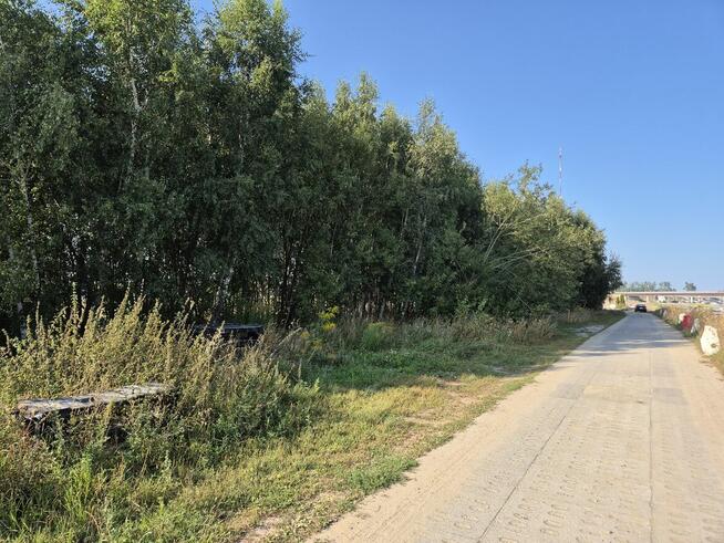 Syndyk sprzeda nieruchomość gruntową