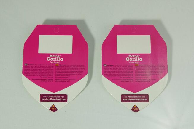 Nasiona konopi Mother Gorilla - ROYAL QUEEN SEEDS - 5 sztuk