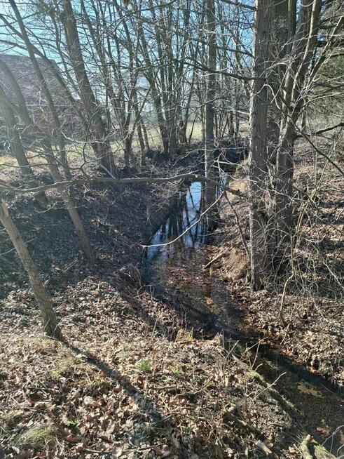 Sprzedam Działkę w miejscowości Silna gmin Pszczew