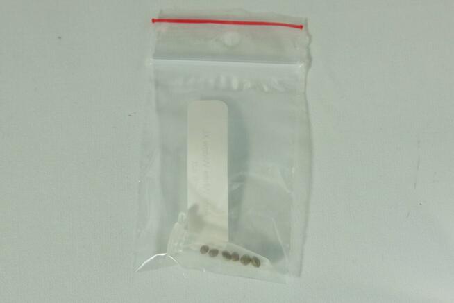 Nasiona konopi White Widow XXL Auto - 6 sztuk