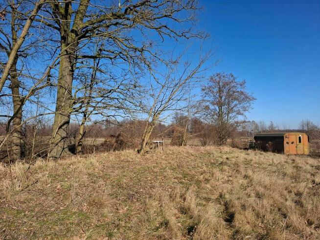 Sprzedam Działkę w miejscowości Silna gmin Pszczew