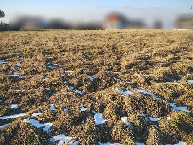 Działka budowlana Mietniów gm. Wieliczka