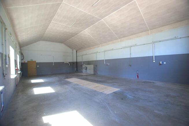 Lokal użytkowy Bodzentyn