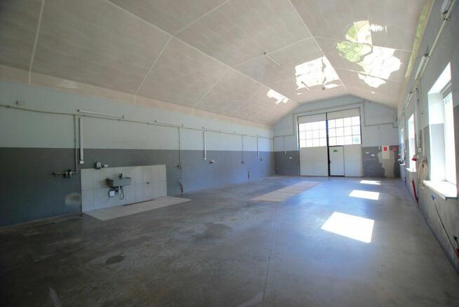 Lokal użytkowy Bodzentyn