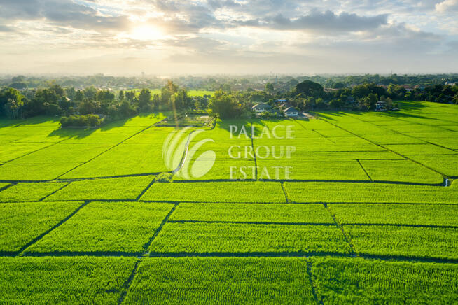 Działka budowlana 15 ar/Grzegorzowice Wielkie