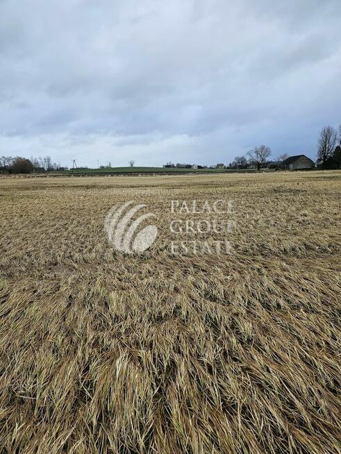 Działka budowlana 12a Masłomiąca/Michałowice