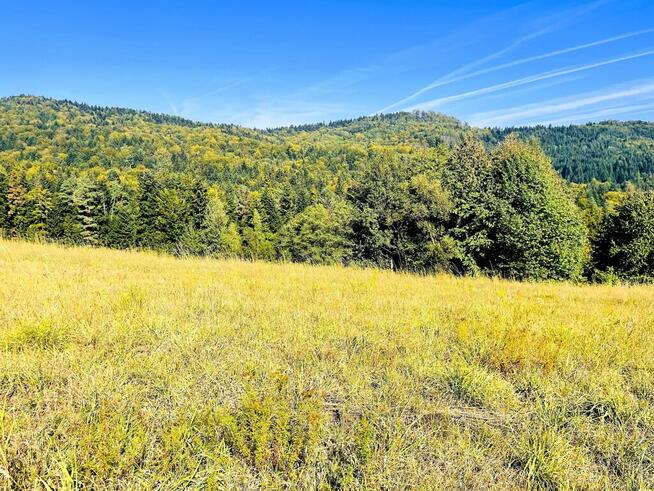 Widokowa działka budowlana- 12 arów