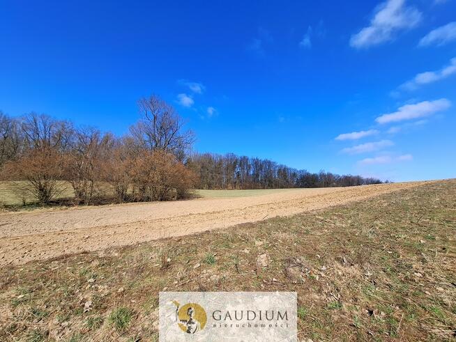 Działki budowlane na wzgórzu | 28 km od Gdańska