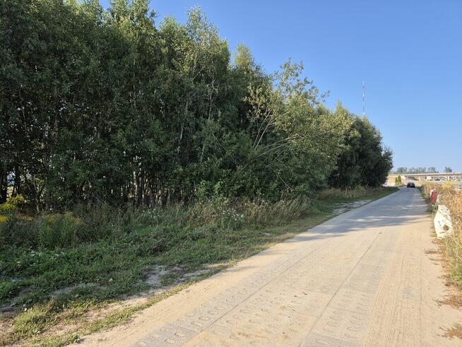 Syndyk sprzeda nieruchomość gruntową