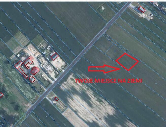 Działka w Biskupicach Gmina Trawniki