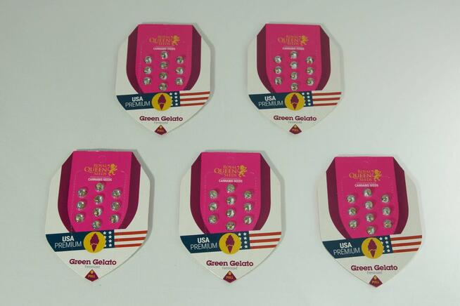 Nasiona konopi Green Gelato - ROYAL QUEEN SEEDS - 10 sztuk