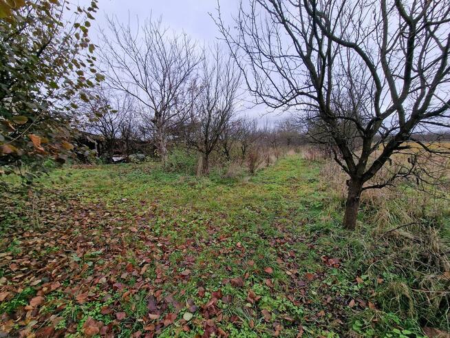 Działka Szydłów centrum 3200 m2 budowlana - rolna