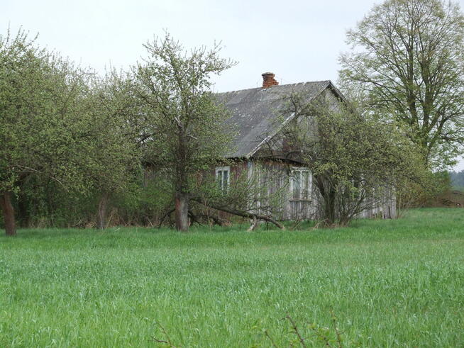 Gospodarstwo 2,5ha Hruszew gm. Platerów