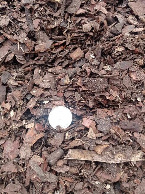 Kora sosnowa DROBNA. Frakcja 0 - 14 mm