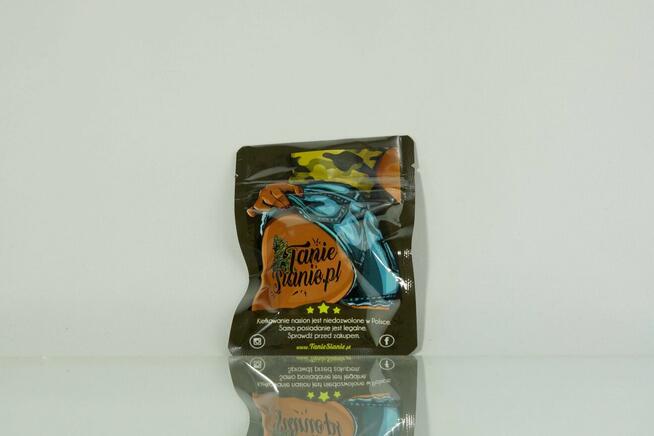 Nasiona konopi Gorilla Cookies Auto - 100 sztuk