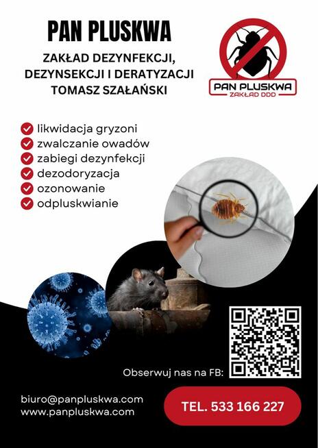 Likwidacja gniazd os, szerszeni, mrówek. Odpluskwianie