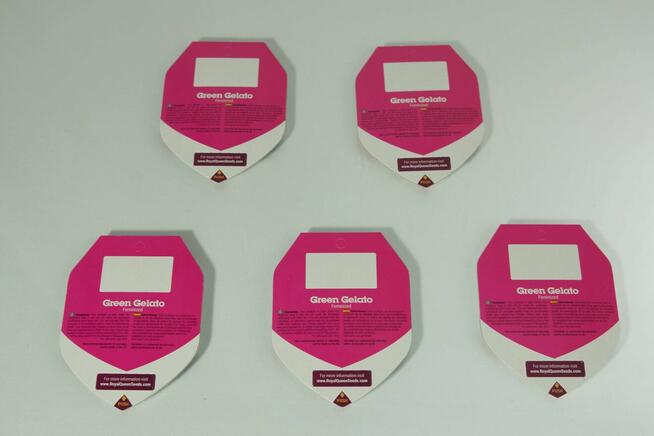 Nasiona konopi Green Gelato - ROYAL QUEEN SEEDS - 10 sztuk