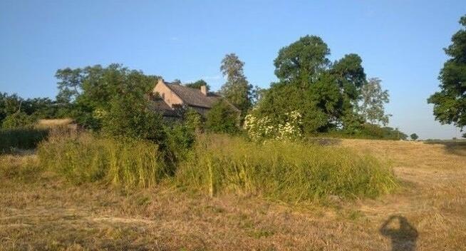 Dom ,dworek, siedlisko ,działka