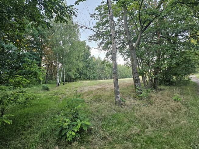 Działka rolna 1,3 ha