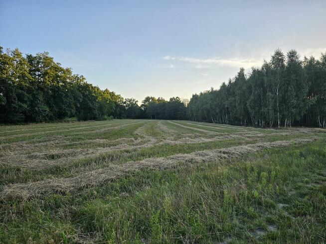 Działka rolna 1,3 ha