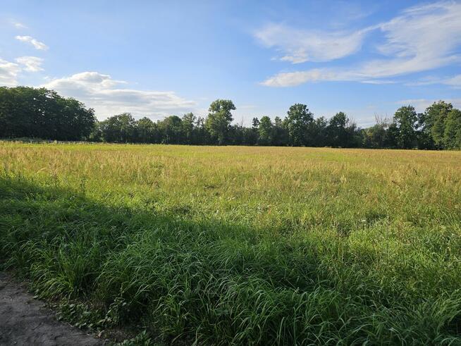 Działka rolno-budowlana z WZ 1 ha.
