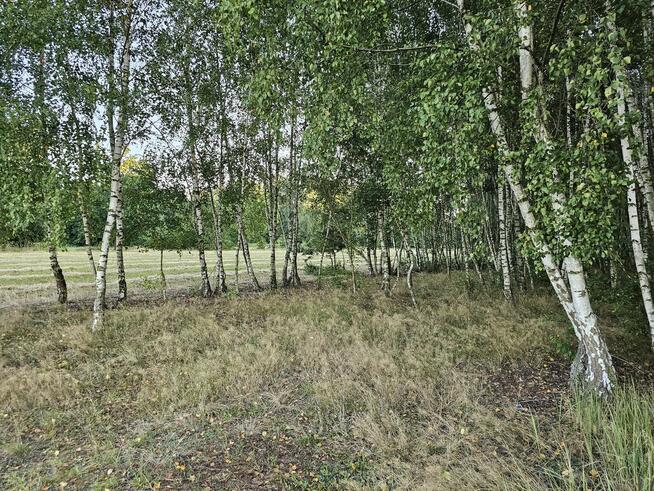 Działka rolna 1,3 ha