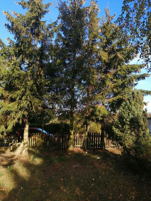 Sprzedam działkę ROD Poznań Smochowice