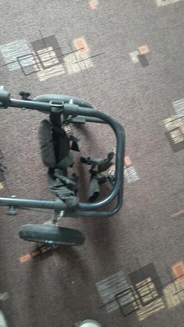 wózek inwalidzki dla psa