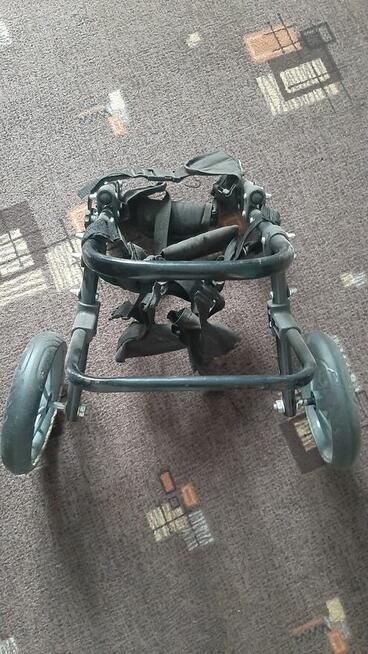 wózek inwalidzki dla psa