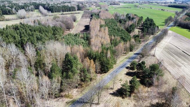 Działki leśne, Las, Tyśmienica, Gm. Parczew