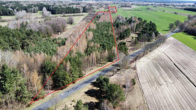 Działki leśne, Las, Tyśmienica, Gm. Parczew