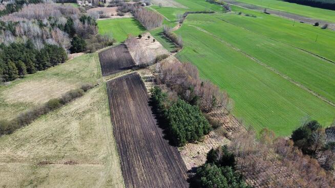Działki leśne, Las, Tyśmienica, Gm. Parczew