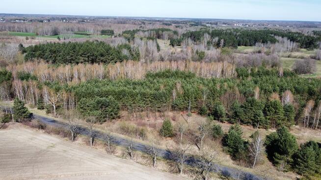 Działki leśne, Las, Tyśmienica, Gm. Parczew