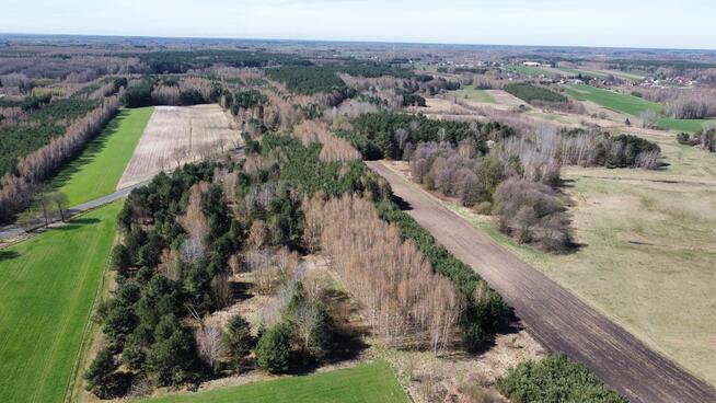 Działki leśne, Las, Tyśmienica, Gm. Parczew