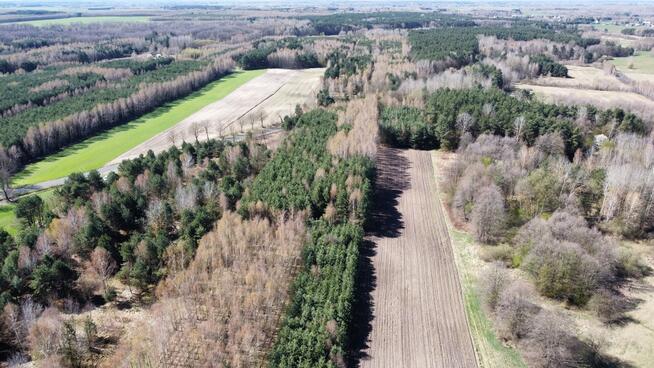Działki leśne, Las, Tyśmienica, Gm. Parczew