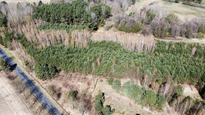 Działki leśne, Las, Tyśmienica, Gm. Parczew