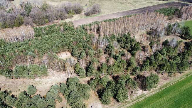 Działki leśne, Las, Tyśmienica, Gm. Parczew