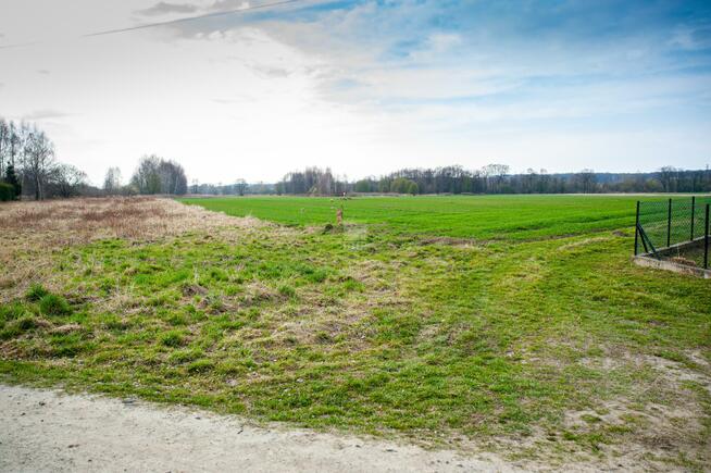 Działka budowlana Jadowniki gm. Brzesko, Maszkienicka