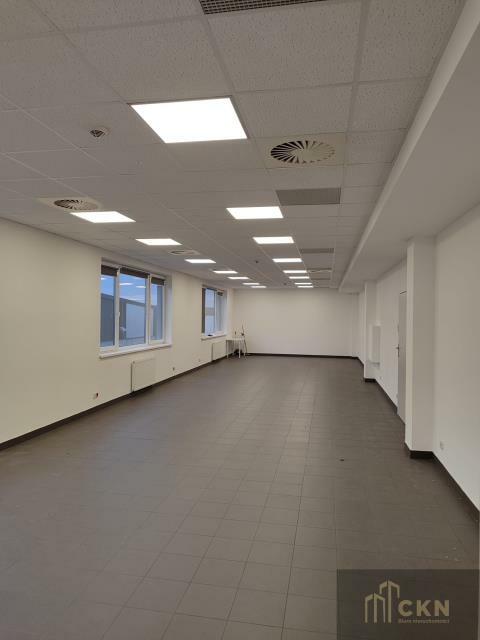 Lokal użytkowy Kraków Podgórze, Rybitwy, Rybitwy