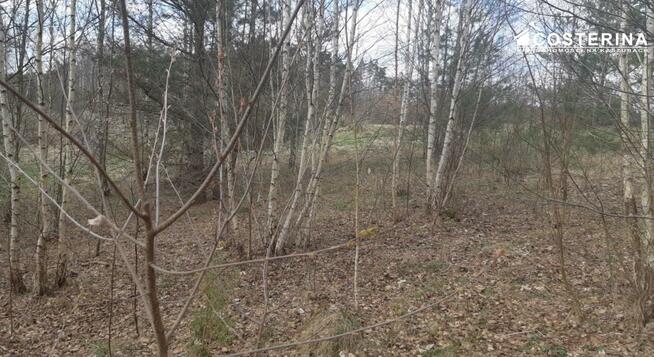 Działka budowlana Nowy Bukowiec gm. Stara Kiszewa