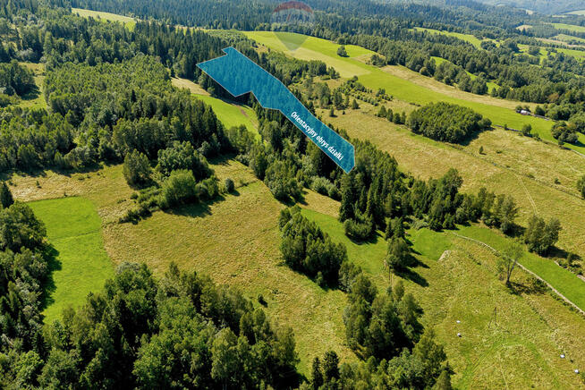 Działki leśne Sieniawa