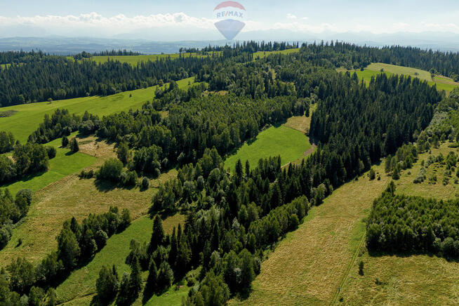 Działki leśne Sieniawa