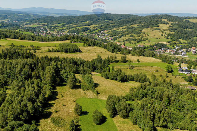 Działki leśne Sieniawa