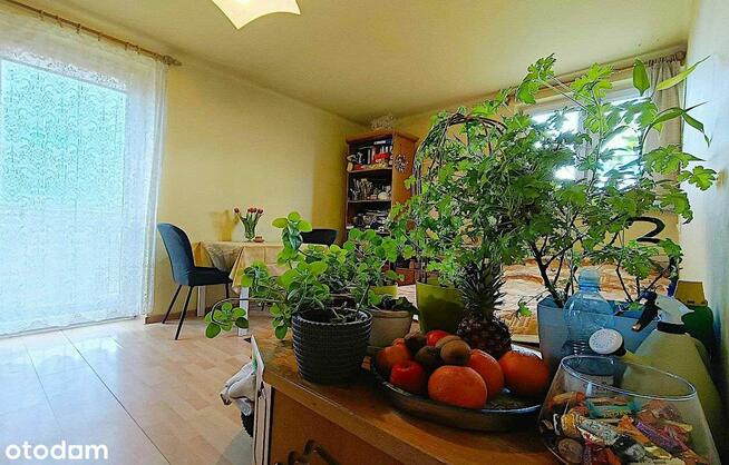 Mieszkanie 45,50m2, 2 pokoje, 2 piętro