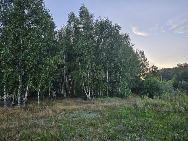 Działka rolna 1,3 ha