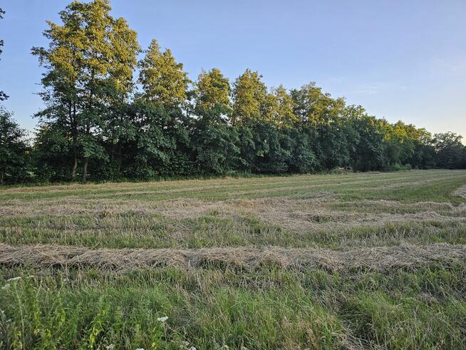 Działka rolna 1,3 ha