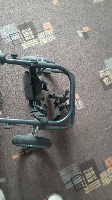 wózek inwalidzki dla psa