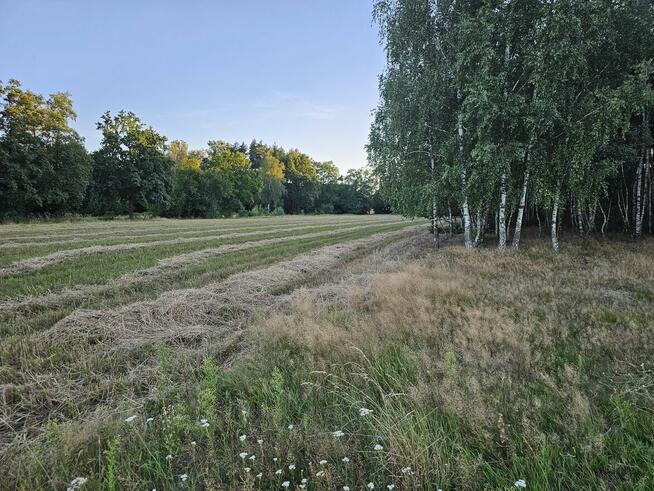 Działka rolna 1,3 ha